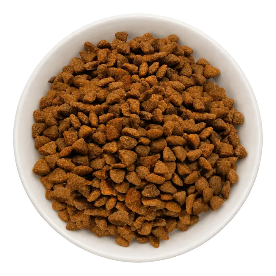 Dry Food Bowl of dry pet food kibble photographed from above